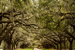 Charleston, SC